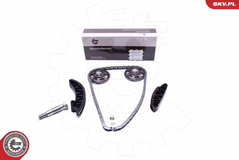Timing Chain Kit